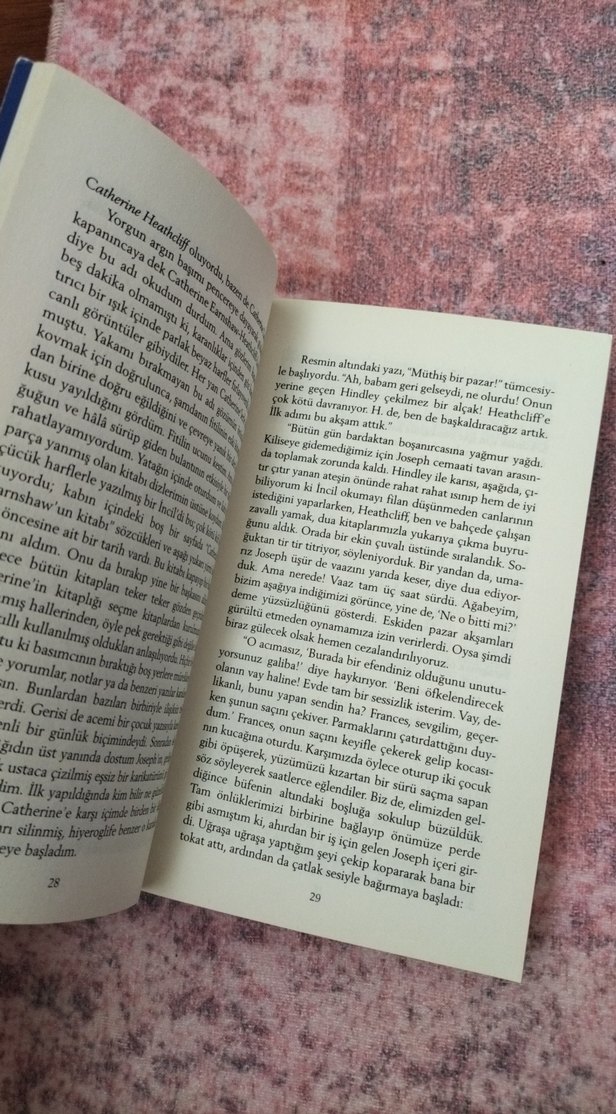 Uğultulu Tepeler - Emily Brontë - Görsel 4