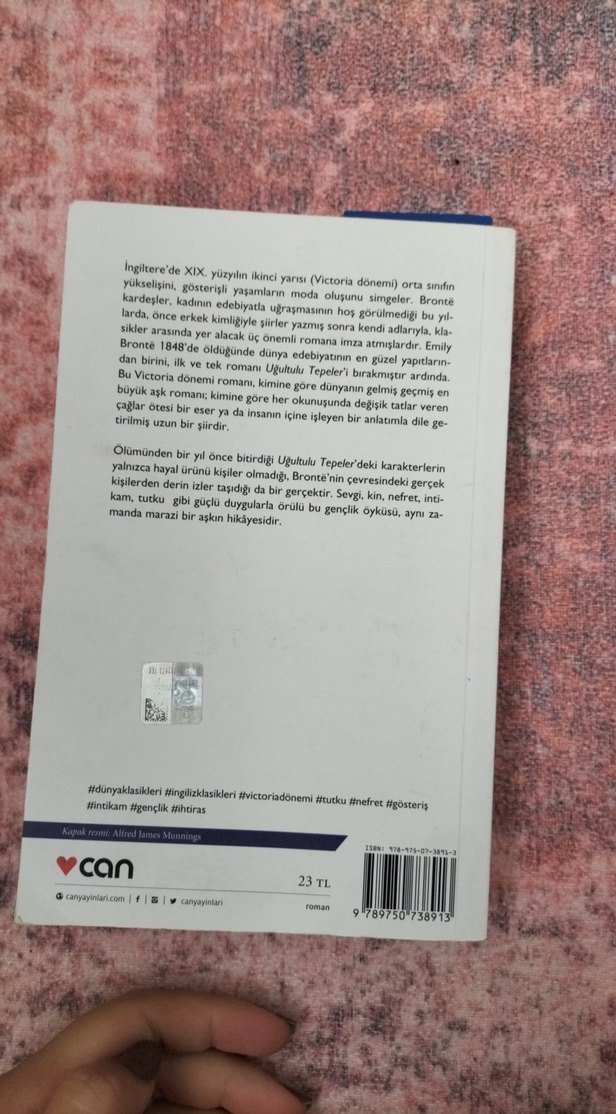 Uğultulu Tepeler - Emily Brontë - Görsel 2