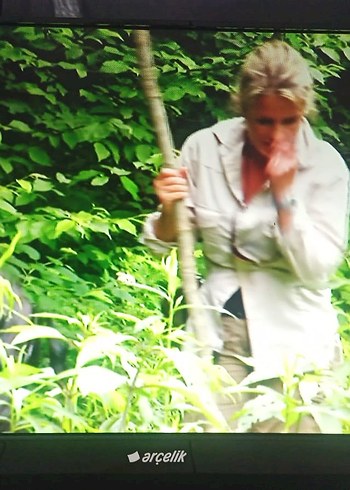 Arçelik Siyah 55 ekran(21inç) tv SURVIVO 90008 - Görsel 7