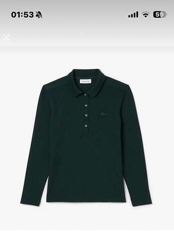 Lacoste 40