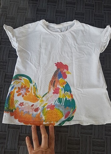 Zara kiz çocuk tişört 