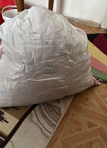 Kayısı