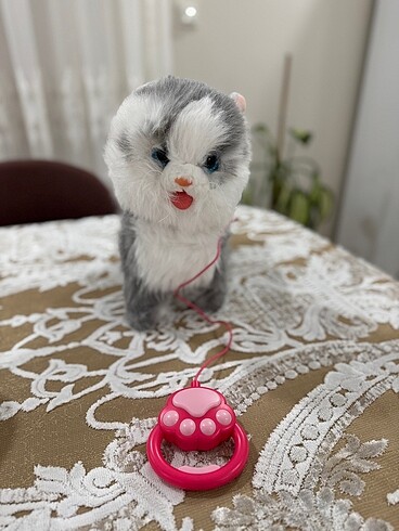 Oyuncak kedi