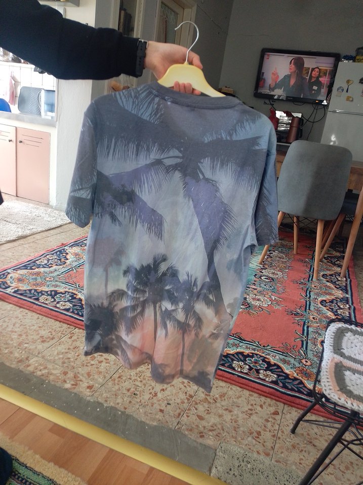 Gri Baskılı Malibu Beach Erkek Tişörtü - Görsel 2