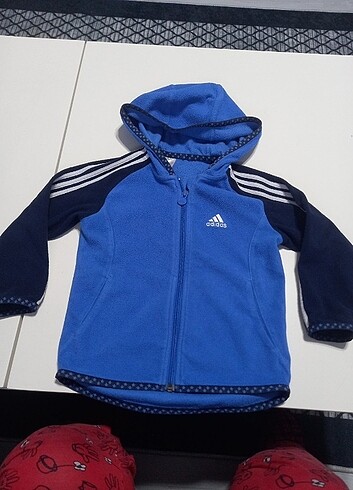 Adidas polar