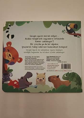  Bak-Bul Sobe Gezgin Ayıcık Çocuk Kitabı