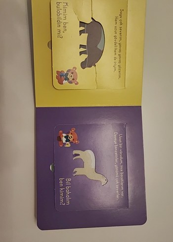  Beden Renk Bak-Bul Sobe Gezgin Ayıcık Çocuk Kitabı