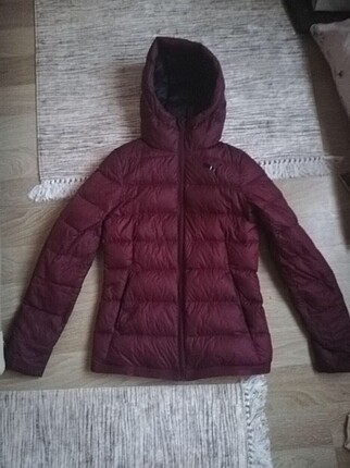 Puma spor mont