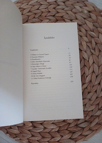 Okumanın Riski - Robert P. Waxler