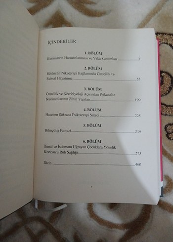 Terapistler Kuramları ve Terapide Harmanlama