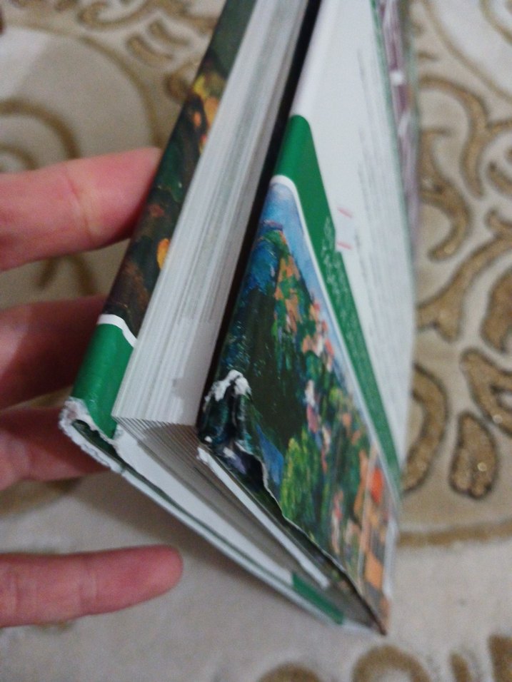 Cézanne Sanat Kitabı - 500 Görselle - Görsel 5