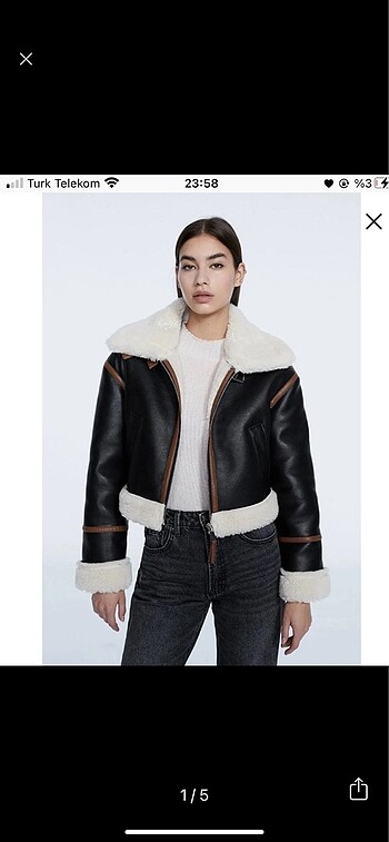 Stradivarius mont
