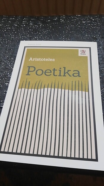  Poetika