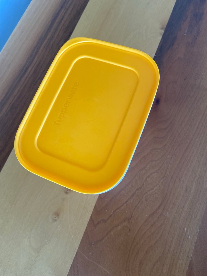 Sarı Plastik Saklama Kabı - Görsel 2