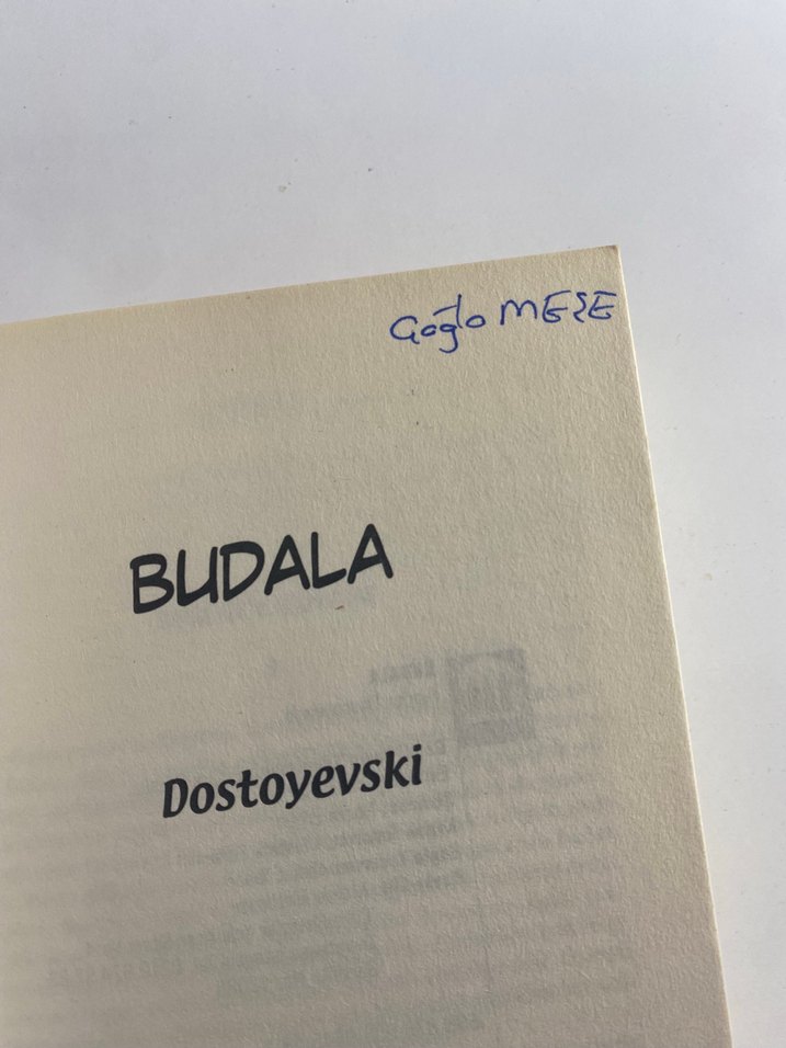 Budala - Dostoyevski - Görsel 3
