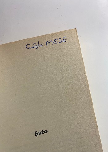 Şato - Franz Kafka - Görsel 3