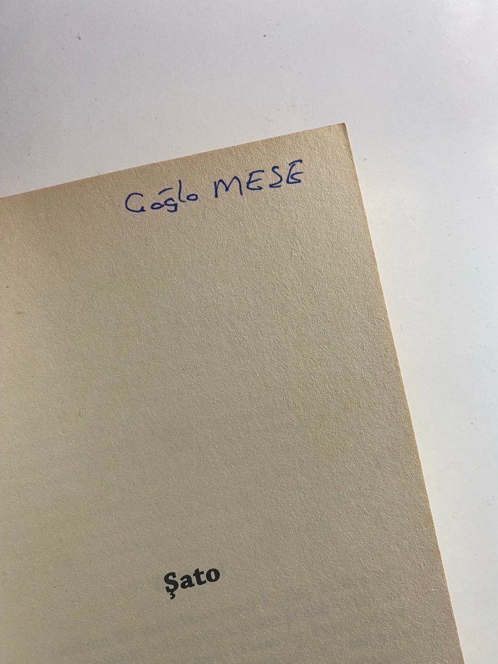 Şato - Franz Kafka - Görsel 3