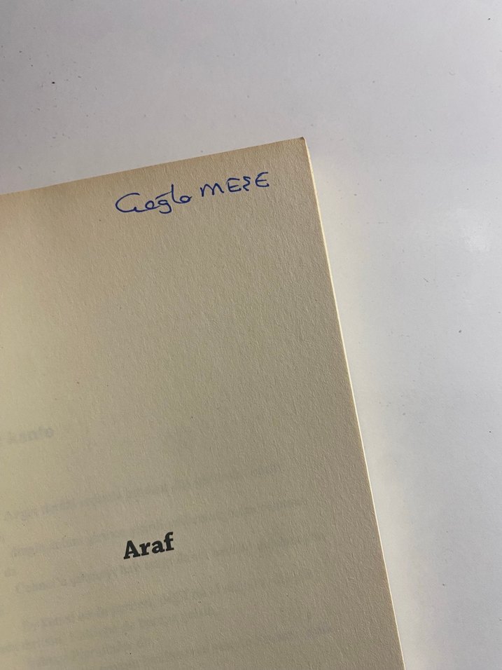 Araf - Dante Alighieri - Görsel 3