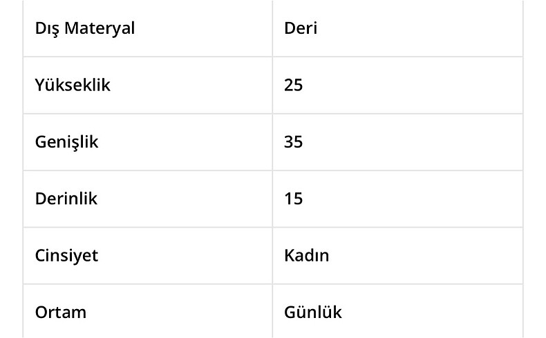 Tergan Tergan deri çanta