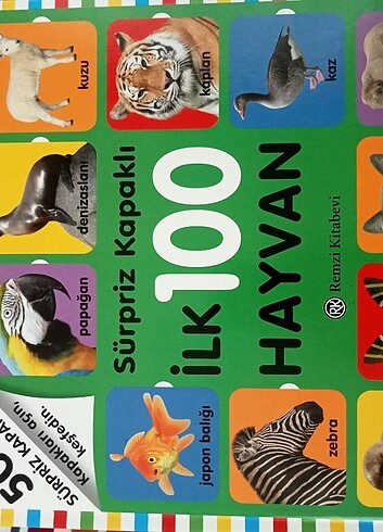 İlk 100 Hayvan Sürpriz Kapakli