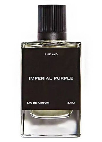 ZARA imperial purple