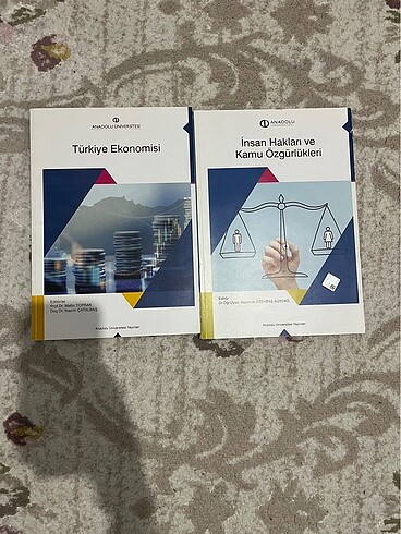 AÖF Türkiye Ekonomisi ve İnsan Hakları
