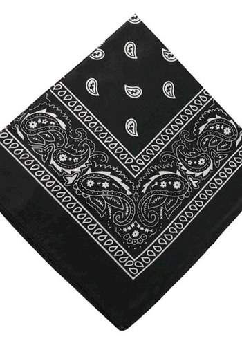 Diğer Beyaz Paisley Desenli Siyah Saten Fular