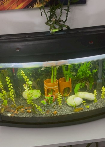 Eheim 100 watt akvaryum ısıtıcı - Görsel 2