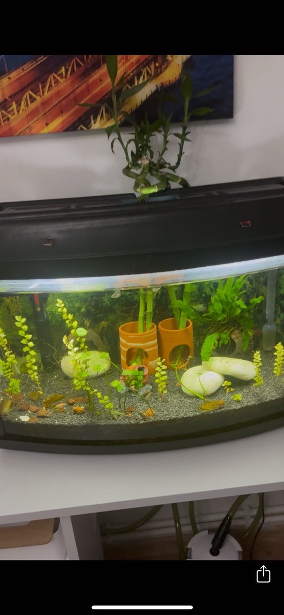 Eheim 100 watt akvaryum ısıtıcı - Görsel 2