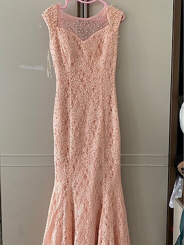Pudra pembesi balık model