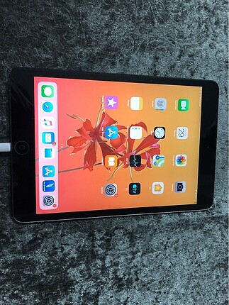 iPad Mini 2