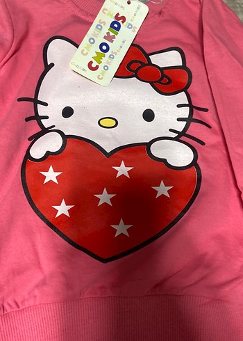 Kız Çocuk Uzun Kollu Renkli Baskılı Sweatshirt 4lü fiyat - Görsel 3