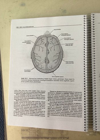Klinik Nöroanatomi Kitabı Prof. Dr. Mehmet Yıldırım