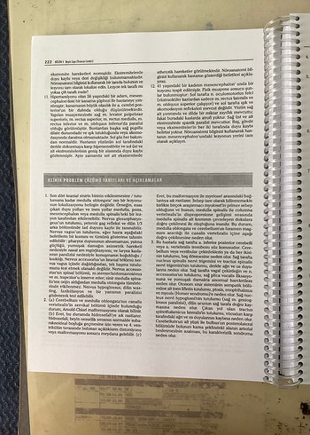 Beden Klinik Nöroanatomi Kitabı Prof. Dr. Mehmet Yıldırım