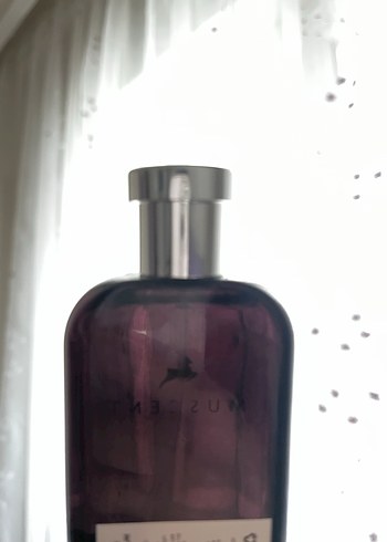 MUSCENT mojave ghost Kadın Parfümü 50ml - Görsel 4