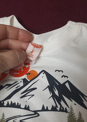 Beyaz Baskılı Erkek Çocuk Sweatshirt - Görsel 4