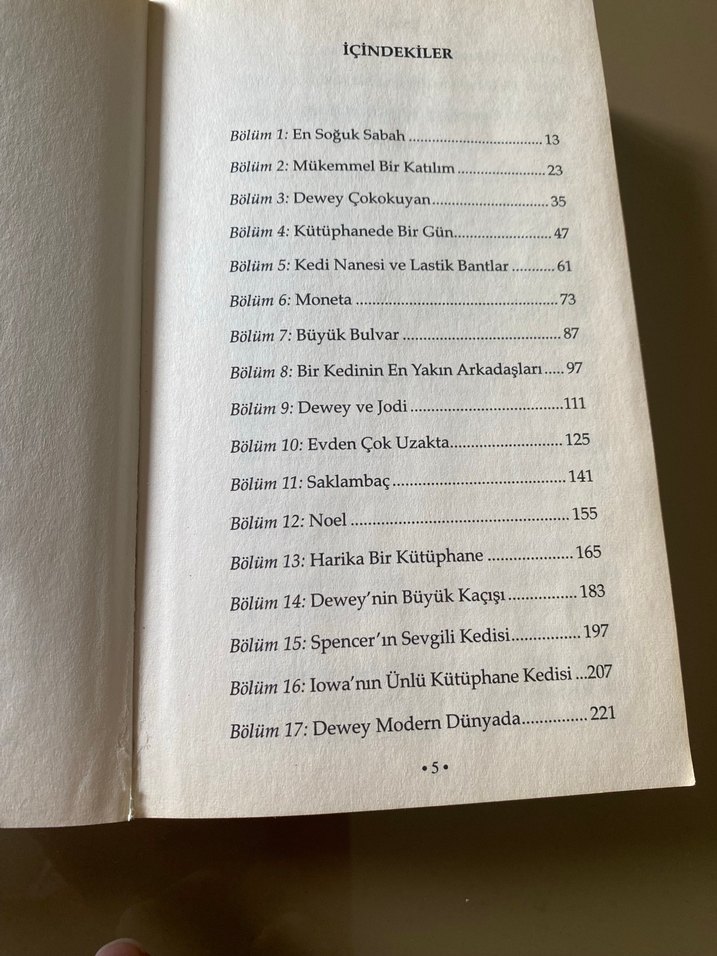 Dewey: Dünyanın Kalbine Dokunan Kütüphane Kedisi - Görsel 4