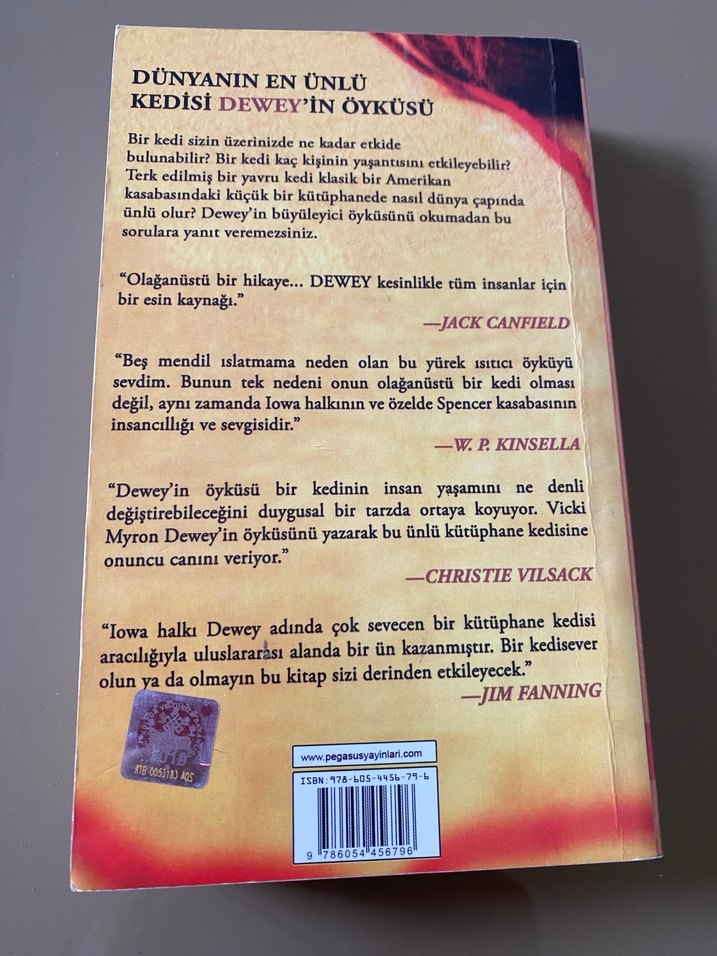 Dewey: Dünyanın Kalbine Dokunan Kütüphane Kedisi - Görsel 2