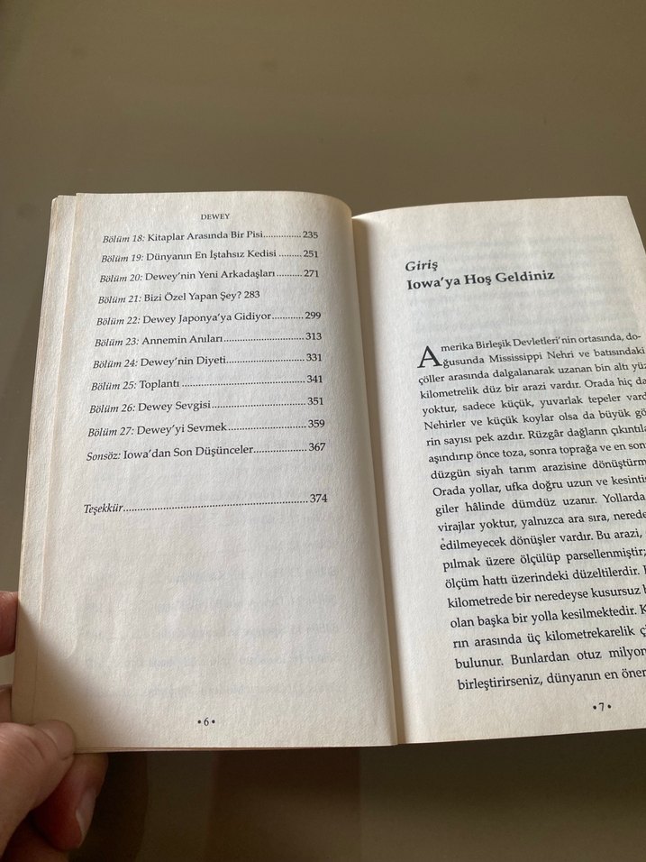 Dewey: Dünyanın Kalbine Dokunan Kütüphane Kedisi - Görsel 5