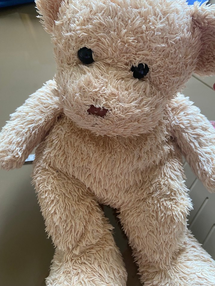 Bej Peluş Ayıcık Oyuncak - Görsel 5