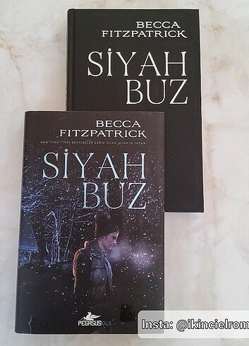 Siyah Buz - Becca Fitzpatrick 