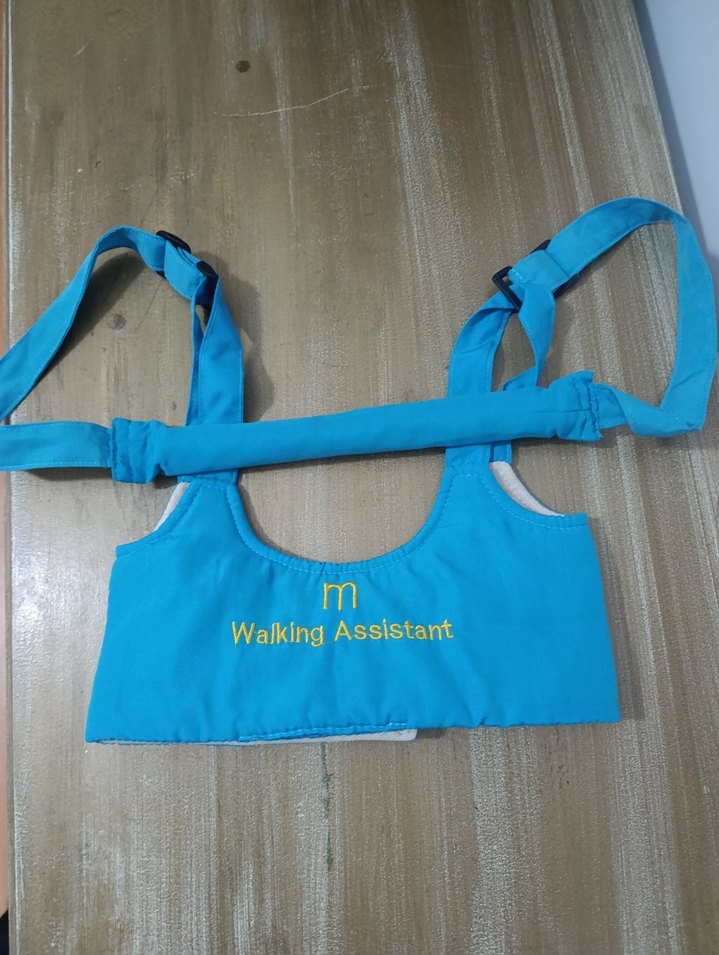 Mavi Bebek Yürüyüş Yardımcısı - Görsel 4