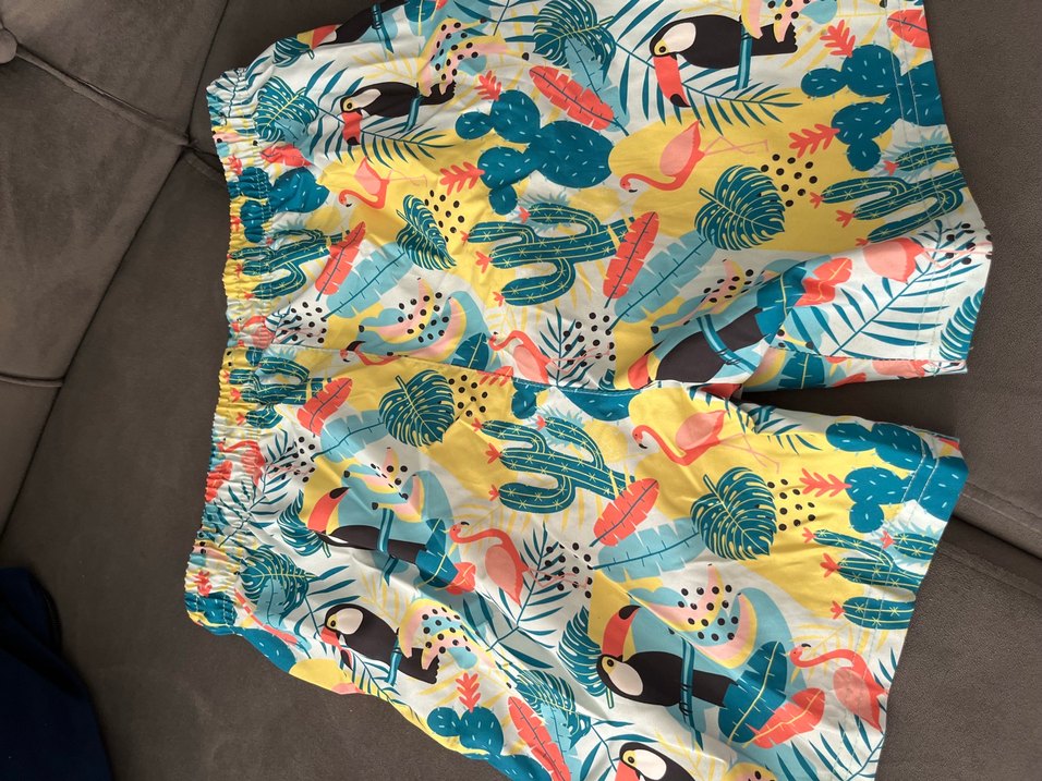 Renkli Baskılı Erkek Şort Mayo - Görsel 3