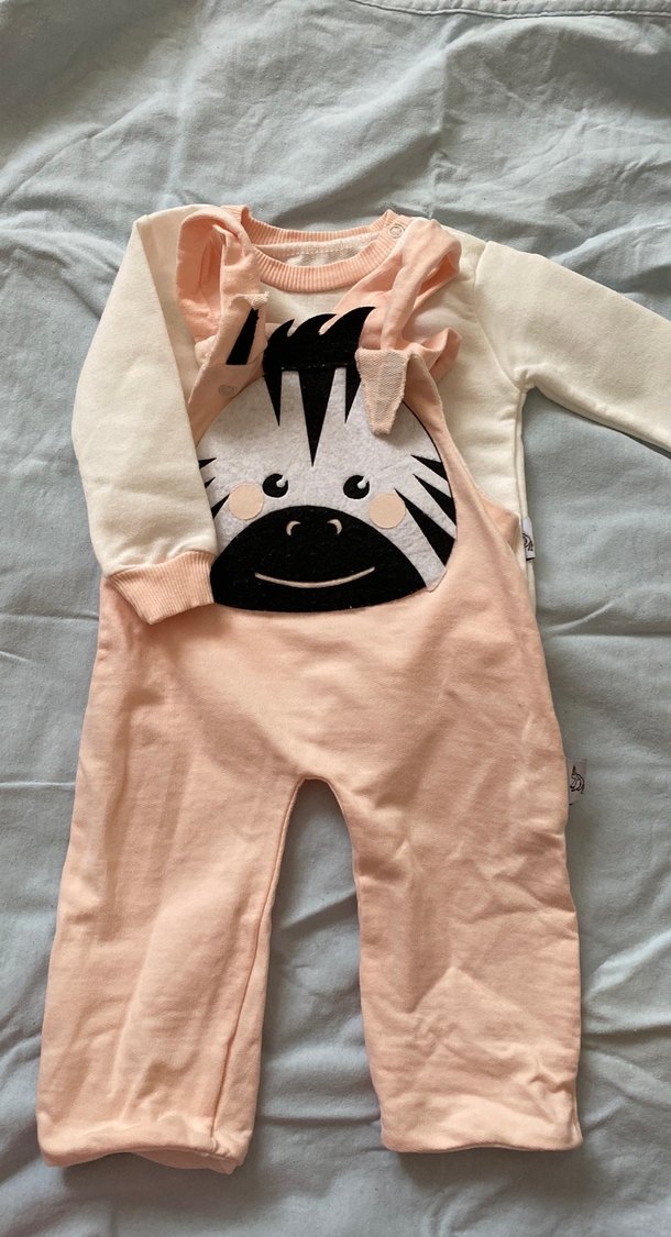 Pembe Zebra Desenli Fırfırlı Bebek Tulum - Görsel 2