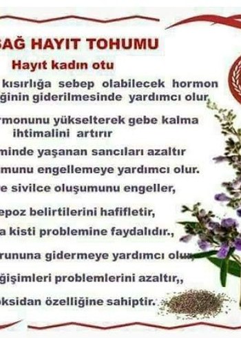 Beden Ginseng Gıda Takviyesi 60 Kapsül