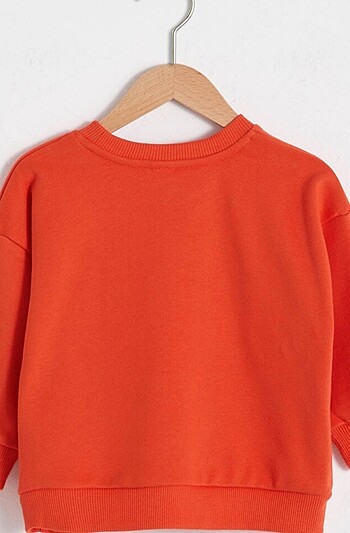 Erkek Bebek Sweatshirt - Görsel 2