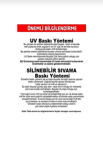 Beden çeşitli Renk 6 lı Çerçeve Görünümlü Çocuk Odası Mdf Tablo