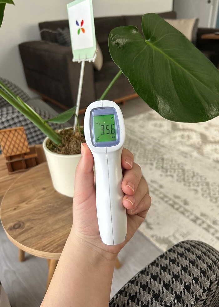 Ateş ölçer - Görsel 2