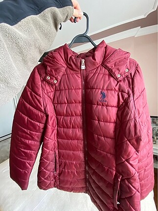 US POLO ASSN KADIN BORDO MONT