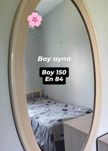 Gri Oval Boy Ayna 150x84 cm